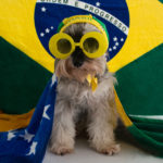 Foto Temática
